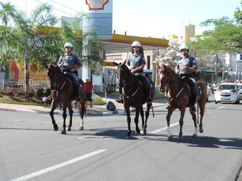 Policiais que atuam na Cavalaria são todos formados em curso específico de tropa montada