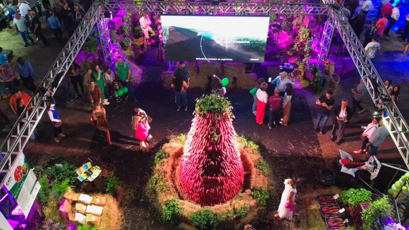 Evento com entrada gratuita reúne tecnologia, gastronomia e conhecimento sobre segmento da batata-doce 