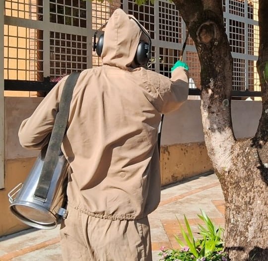 Vigilância realiza aplicação de inseticida para eliminação do mosquito-palha adulto