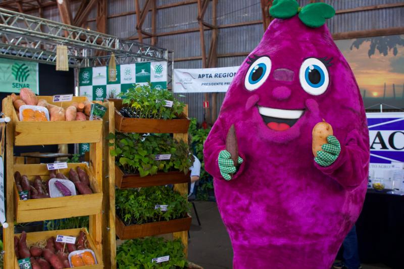 Personagem em formato de batata-doce animou público durante 6ª Batatec, realizada no IBC Centro de Eventos, em Prudente