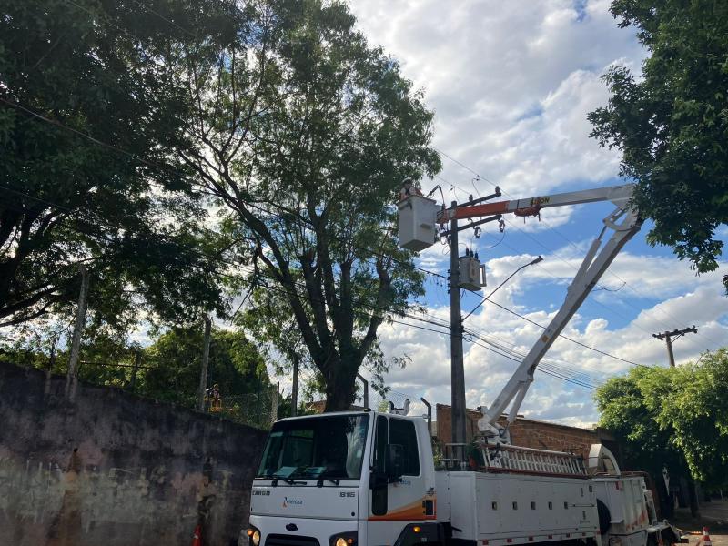 Objetivo do mapeamento é reduzir interrupções de energia provocadas pelo contato acidental de galhos com fiação