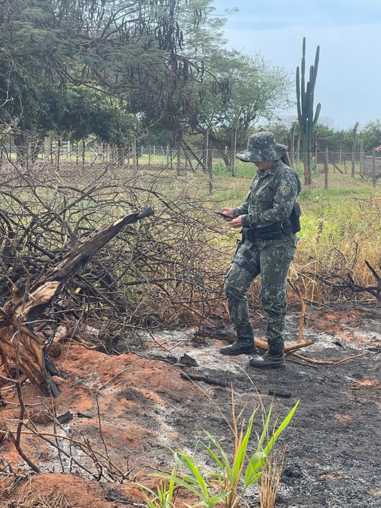 Queimadas foram realizadas de maneira deliberada, sem autorização ambiental, aponta policiamento