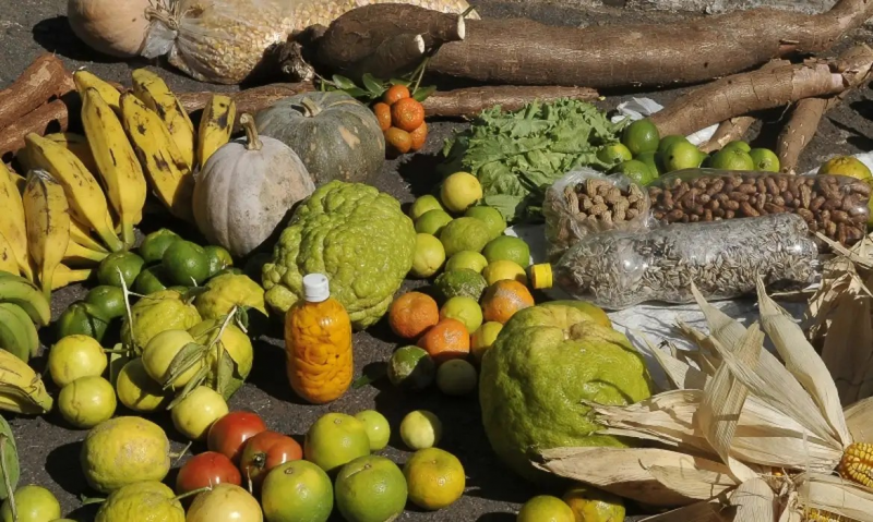 Oportunidades de mercado garantido e produção organizada são tema de encontro