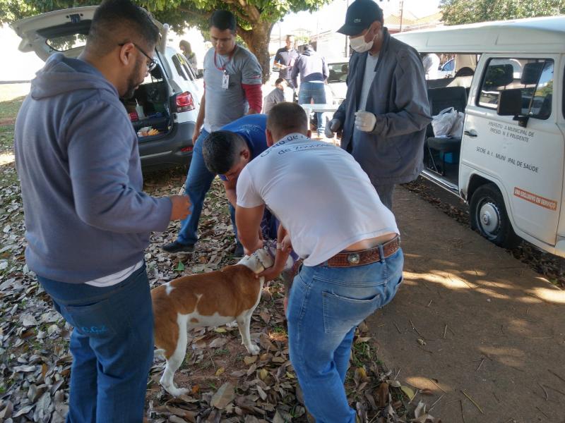 Iniciativa faz parte da Semana Estadual de Prevenção e Controle de Leishmaniose