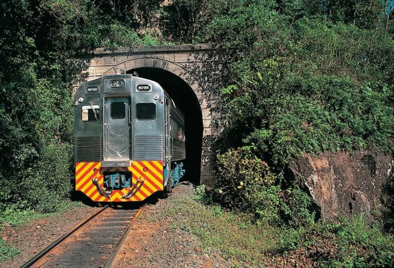 Passeio de trem pela Serra do Mar conta com vários atrativos naturais no trajeto