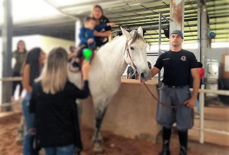 Iniciativa gratuita utiliza cavalos em terapias voltadas a pessoas com necessidades especiais