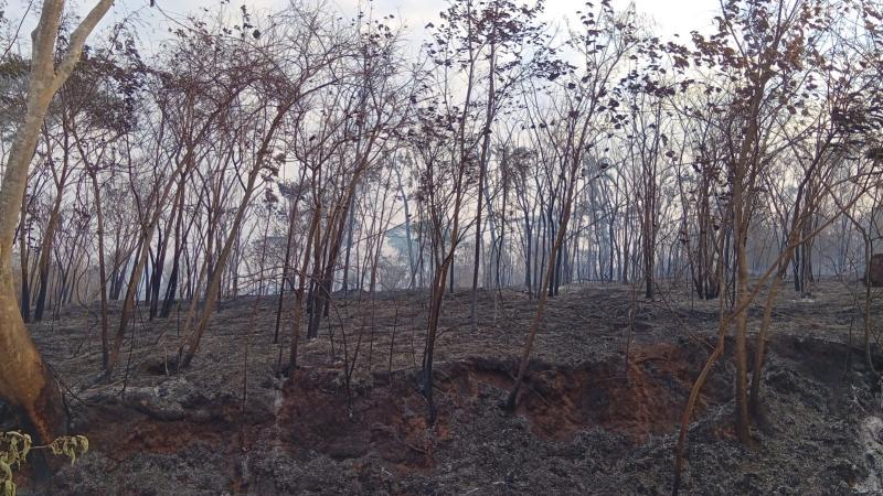 Bombeiros e brigadistas combateram diversas queimadas durante o fim de semana