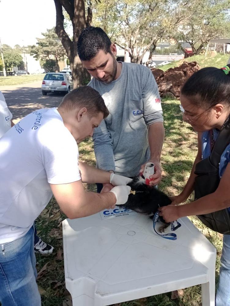 Lei Municipal 7.908 dispõe sobre o registro e chipagem de animais no município