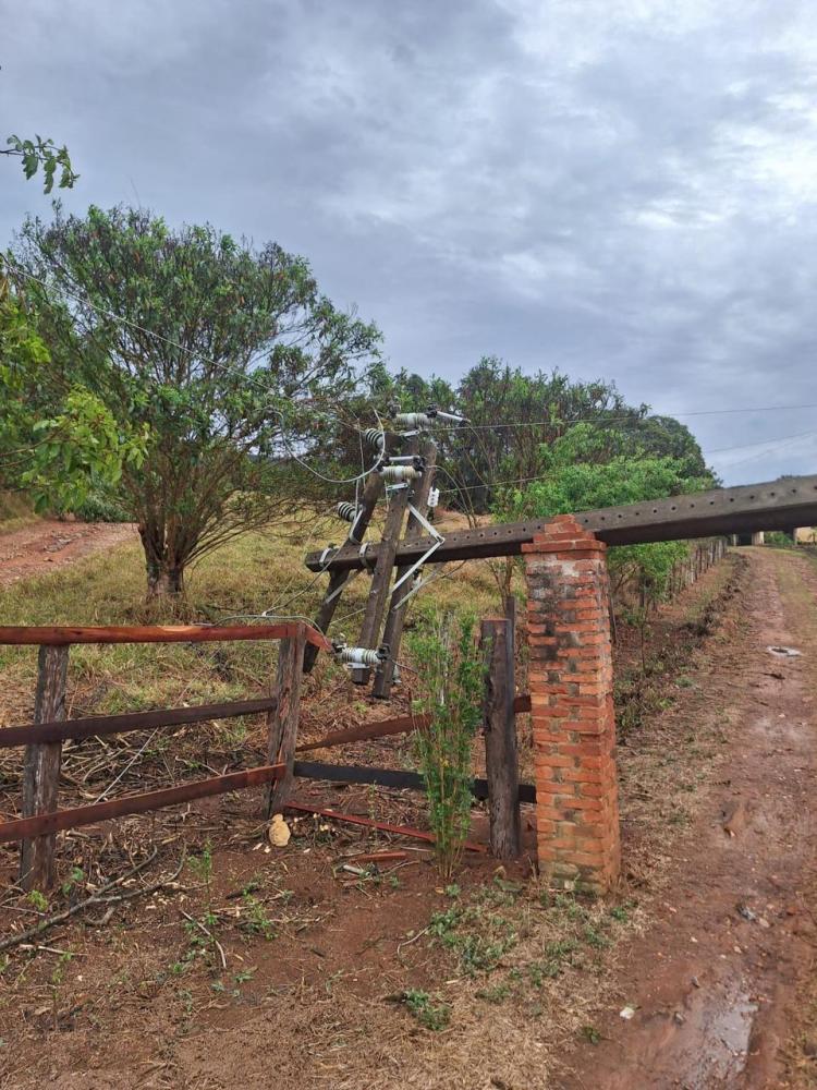 Tempestade derrubou árvores, galhos, placas e telhas sobre rede elétrica e provocou queda de postes