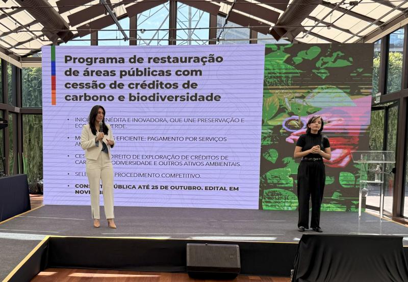 Secretária da Semil, Natália Resende, explicou projeto em evento na capital paulista
