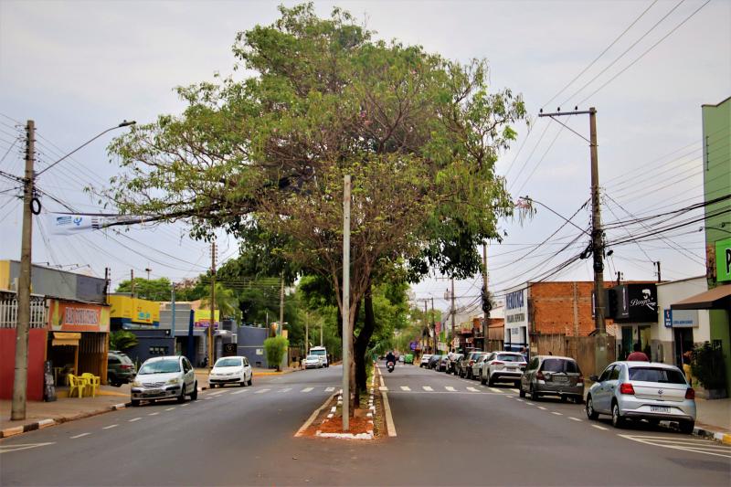 Medidas antecedem mudanças que serão implementadas na via
