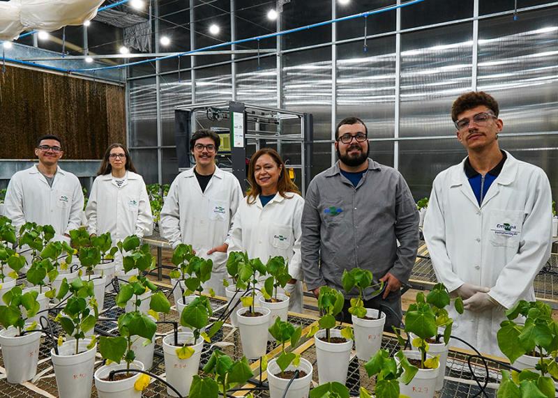 Robô usa a técnica de imagem de fluorescência para avaliar mudanças metabólicas das plantas causadas por estresses bióticos e abióticos