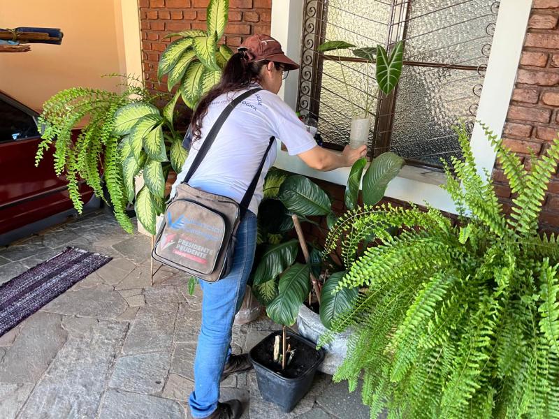 Simpósio discutirá estratégias de vigilância e controle do Aedes aegypti