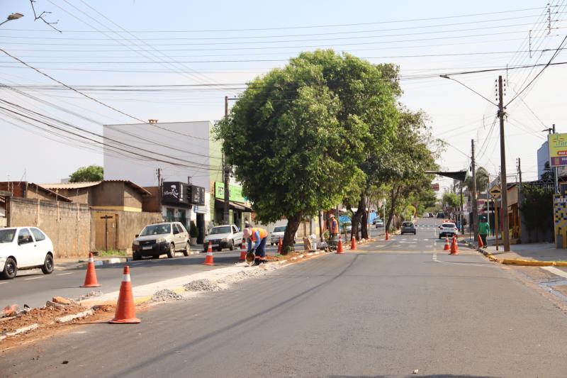 Após retirada de árvores, equipes realizarão nivelamento do solo