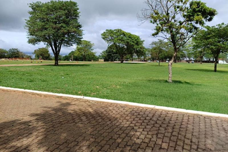 Campal tem aproximadamente 8 mil registros de sepultamentos