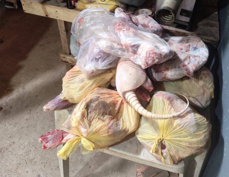 Homem foi multado por manter produto proveniente de caça em propriedade no Cinturão Verde