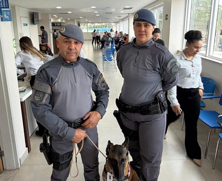 Akira é cão policial de intervenção tática