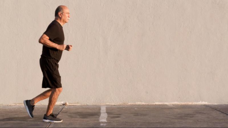 Foram analisadas as células de 9 indivíduos com média de 64 anos de idade, divididos entre não treinados e praticantes de atividade física prolongada