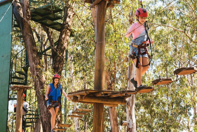 Pessoas aproveitando o arborismo, atividade de aventura Terra Parque