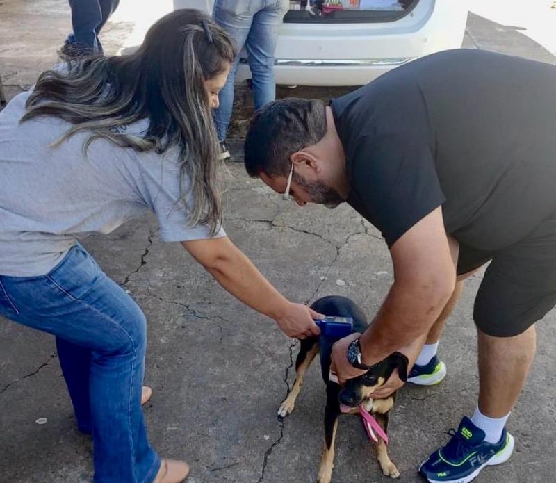 Atendimento a animais ocorrerá no Jardim Santa Clara