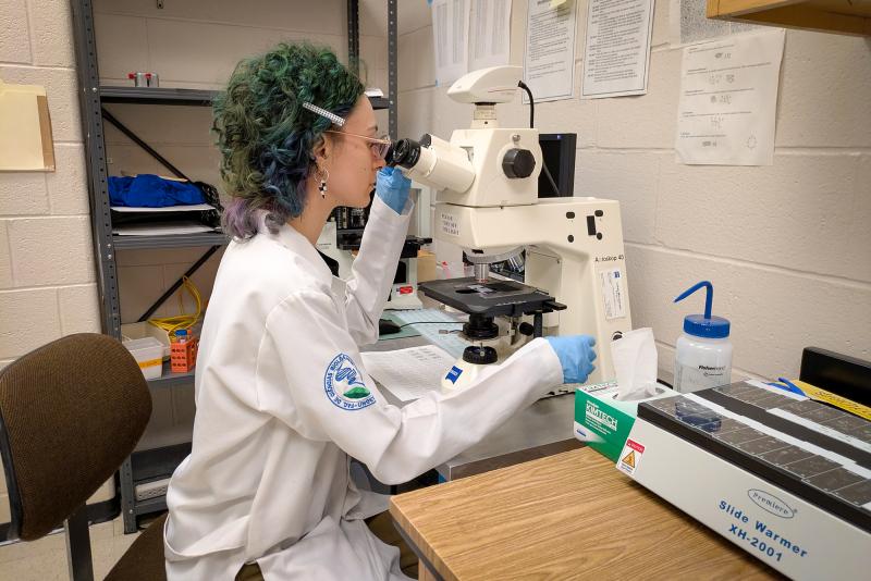 Thainá fez treinamento para ser membro efetivo no laboratório de pesquisa nos EUA