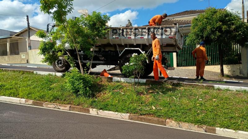 Desde início em outubro, ação recolheu 1.691 caminhões de materiais inservíveis