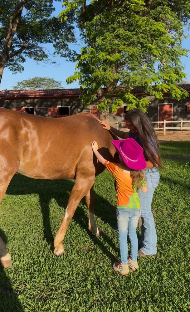 Na Colônia de Férias do Rancho Quarto de Milha as crianças terão contato com os animais