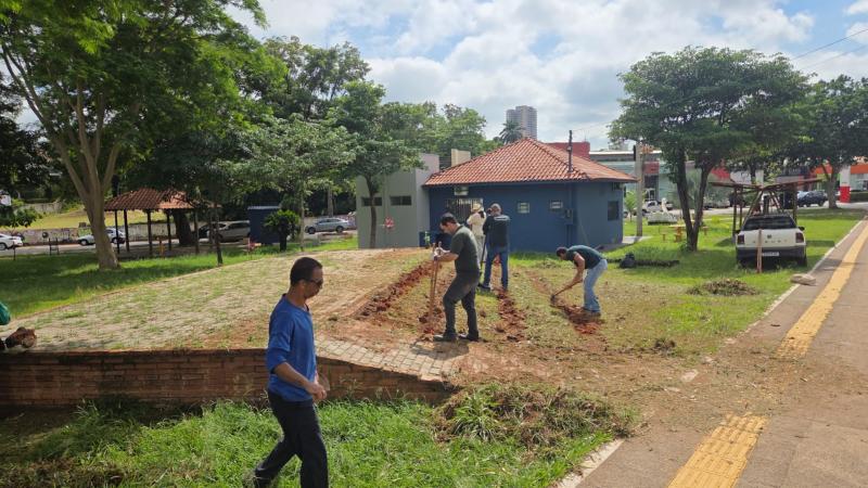 Campo de girassóis é implantado ao lado do Ponto de Informações Turísticas