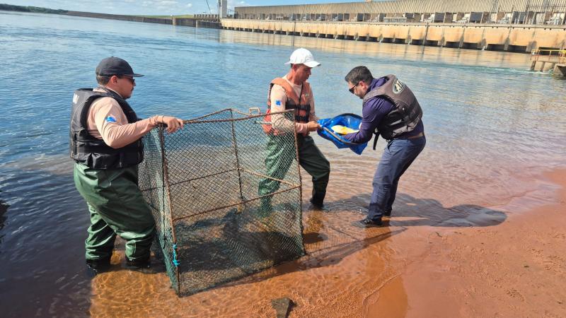 Iniciativa faz parte do programa de conservação da biodiversidade da região