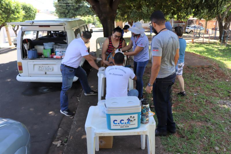 Atendimento é voltado a cães com mais de seis meses de idade