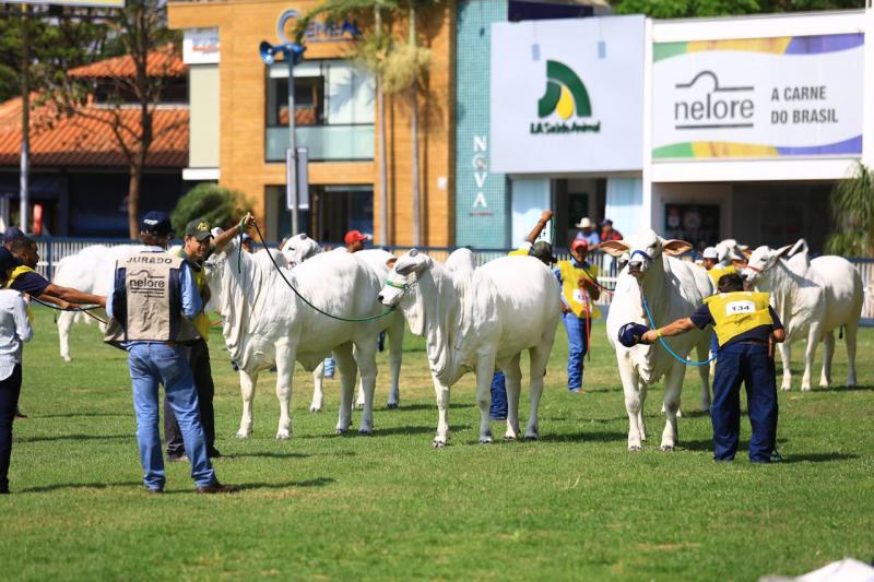 Etapas estão em seis Estados e são obrigatórias para os expositores do ranking