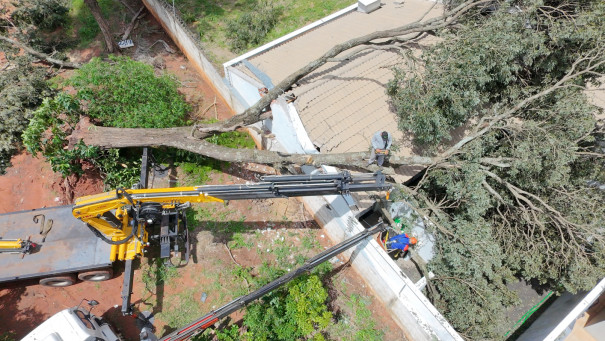 Temporal provocou alagamentos, quedas de árvores e danos materiais em residências