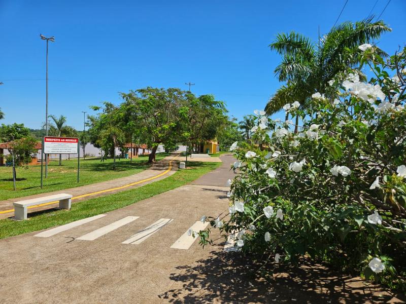 Balneário da Amizade será decorado com a temática da folia