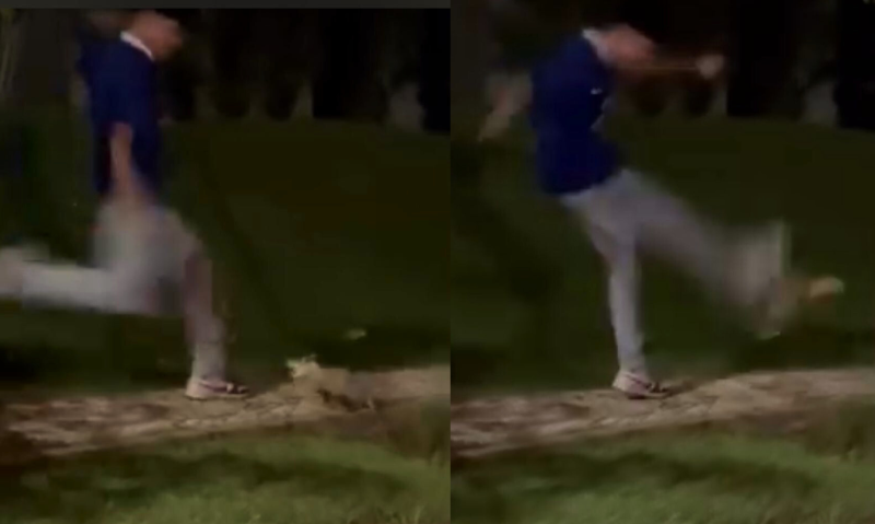 Envolvido alegou ter cometido agressão em defesa a suposto ataque do animal