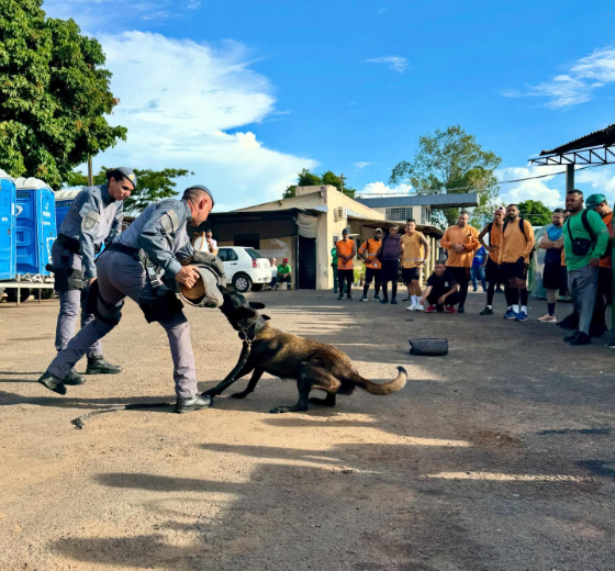 Treinamento de orientação e prevenção está sendo realizado em Presidente Prudente