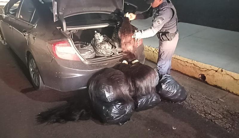Pacotes de cabelo humano estavam em porta-malas e atrás de bancos dianteiros de veículo