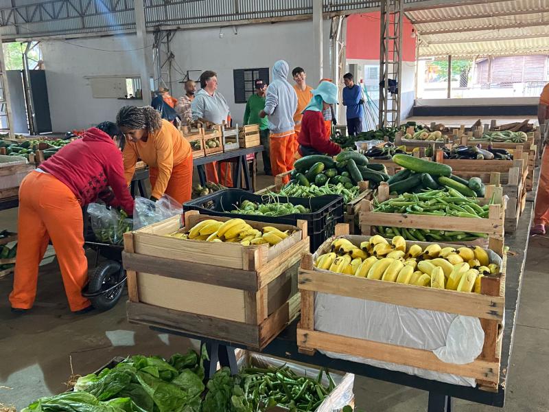 Alimentos serão fornecidos por 20 produtores rurais de Prudente