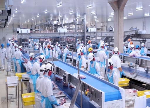 No total, são mais de 2 mil colaboradores diretos em unidades frigoríficas em Rancharia e Araçatuba