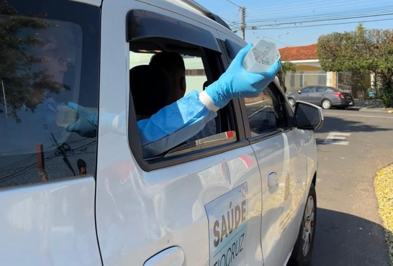 Novas solturas de mosquitos infectados com bactéria começarão ainda no mês de março