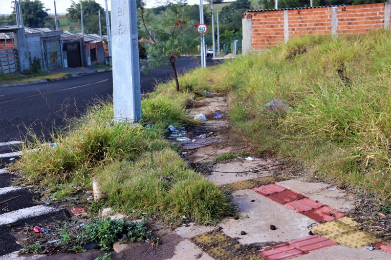 Objetivo do trabalho de notificação é manter cidade limpa e com poucos casos de dengue