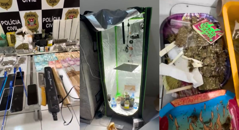 Nos locais vistoriados foram apreendidos diversos insumos, instrumentos, além das drogas e embalagens