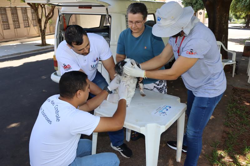 Ação visa fortalecer identificação de animais e monitoramento da saúde pública