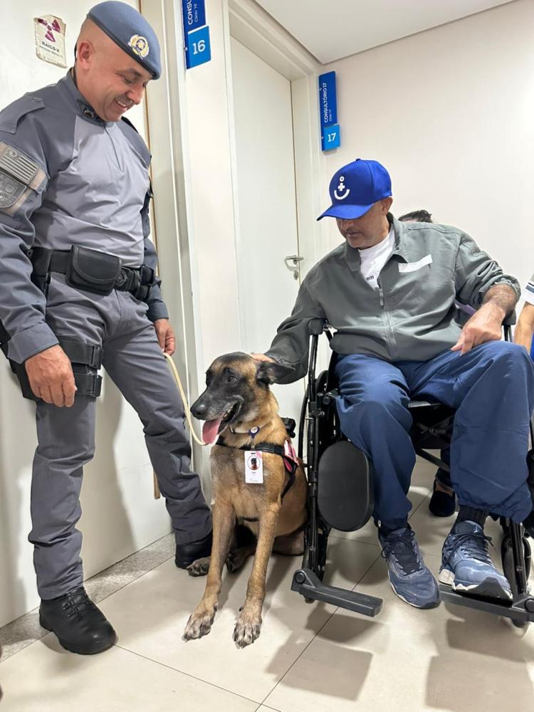 Equipe apresenta Kira aos pacientes, permitindo interação supervisionada e segura