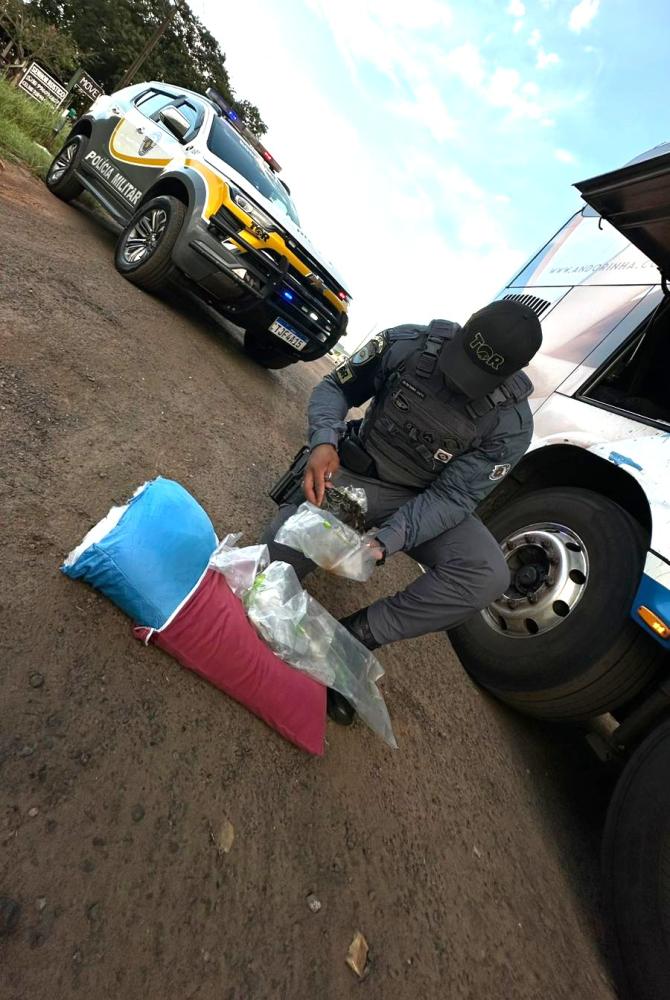 Homem transportava haxixe dentro de travesseiro no qual apoiava as costas dentro de coletivo