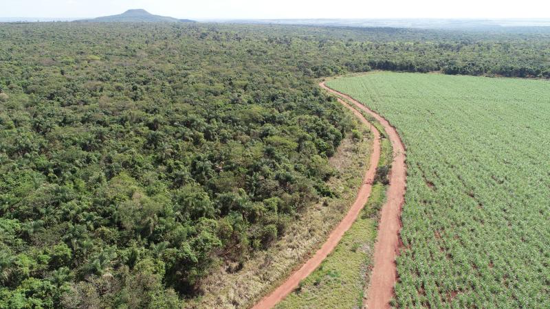 Projeto de recuperação ambiental visa promoção do desenvolvimento sustentável no Pontal