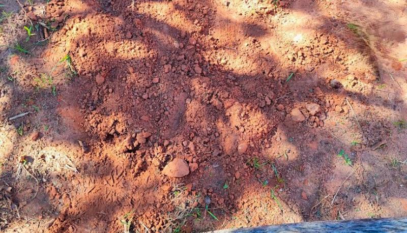 Rapaz, de 26 anos, enterrou bebê, que teria nascido morto, no fundo de quintal em Álvares Machado