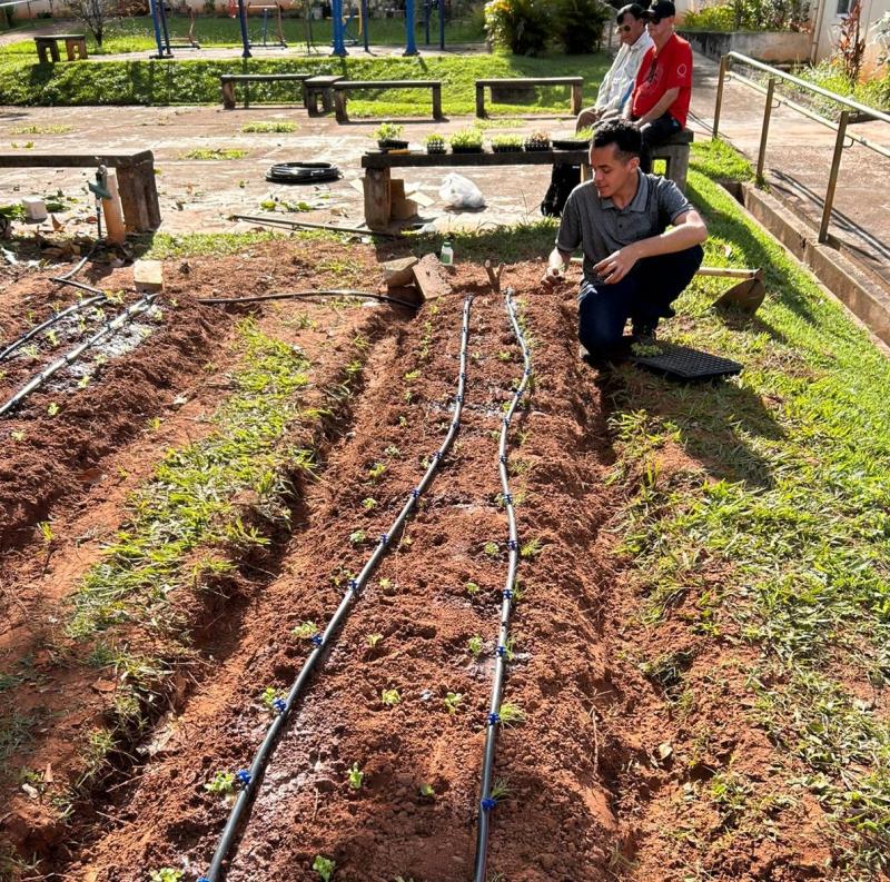 Horta foi implantada na Vila da Dignidade, localizada no Humberto Salvador
