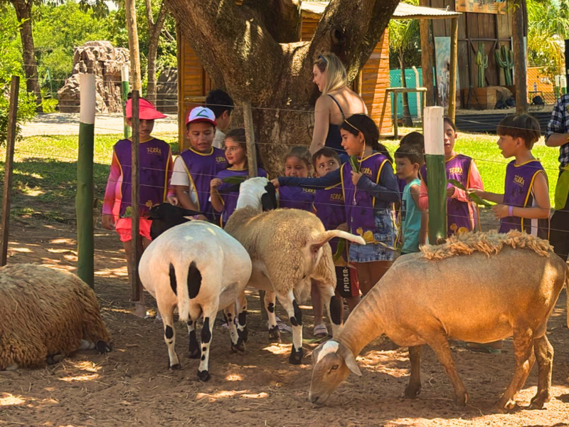 Crianças alimentando os bichinhos da Fazendinha Terra Parque juntamente com a equipe de recreação