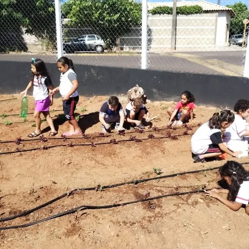 Projeto ambiental de escola de Prudente é selecionado pelo MEC como referência nacional