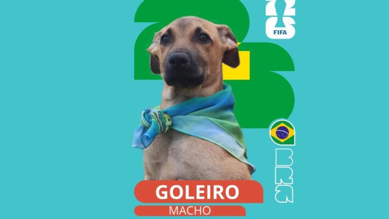 Goleiro já está convocado